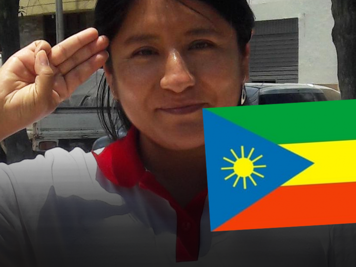 CONGRESISTA PRESENTA PROPUESTA PARA CAMBIAR DISEÑO Y COLORES DE  BANDERA DEL PERÚ